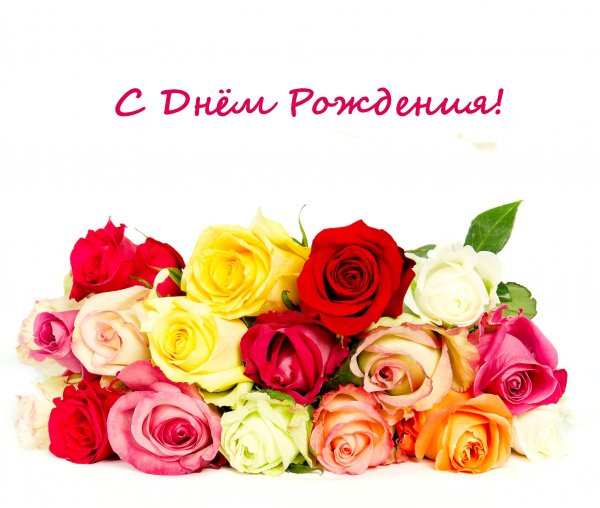 Поздравляю с днём рождения