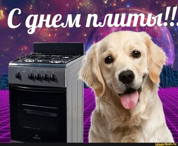 Поздравления с тупыми праздниками