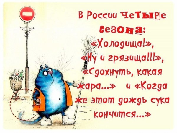 Приколы про жару