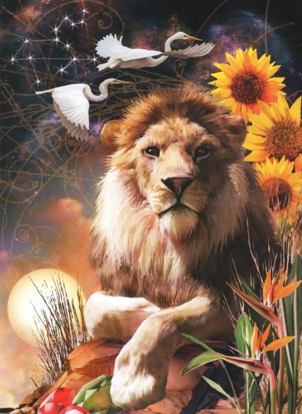 Лев и солнце