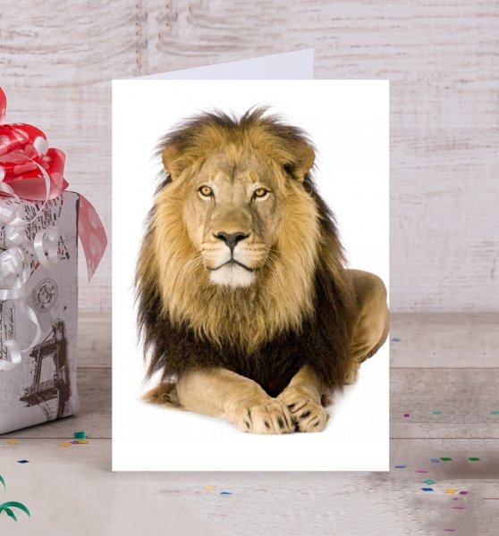 Львов открытка