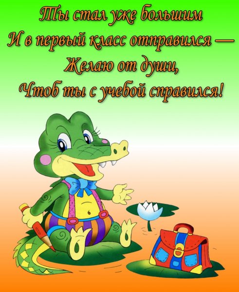 С первоклашкой поздравления