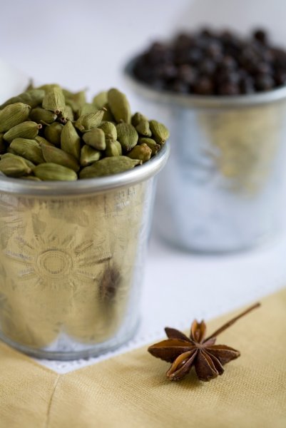 Eletarria cardamonum рисунок натуралиста