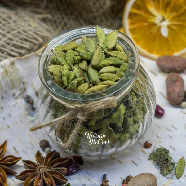 Кардамон скетч