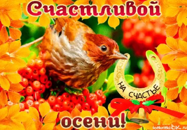 Открытки счастливой осени