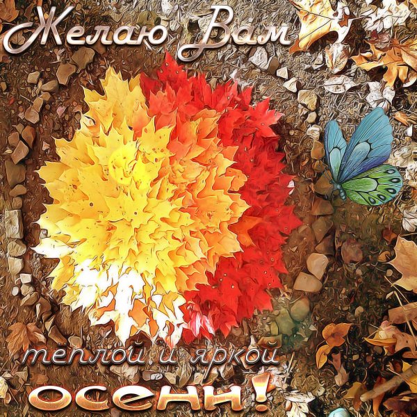 С первым осенним днем