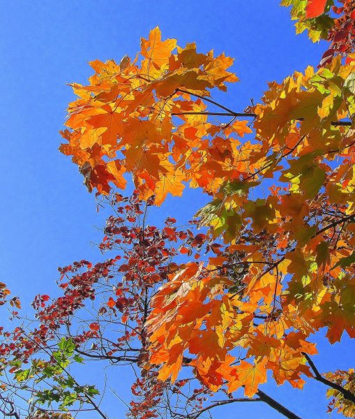 Сентябрь природа