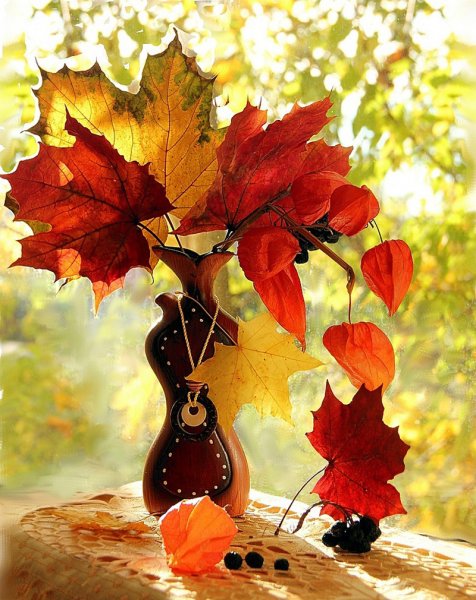 Осень это вторая Весна когда каждый лист цветок Альбер Камю