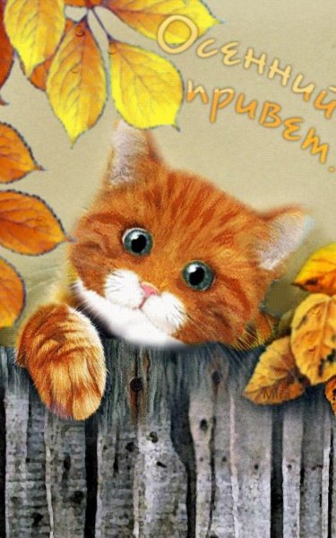 Красивые осенние открыточки