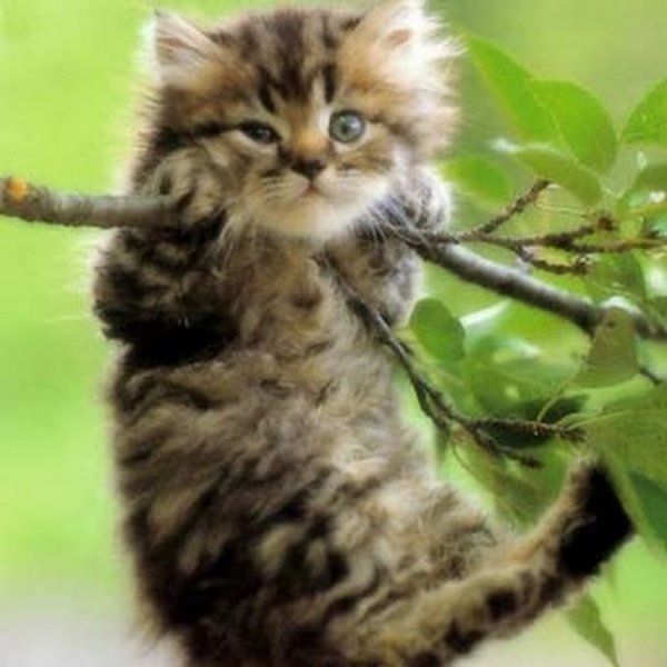 Открытка держись