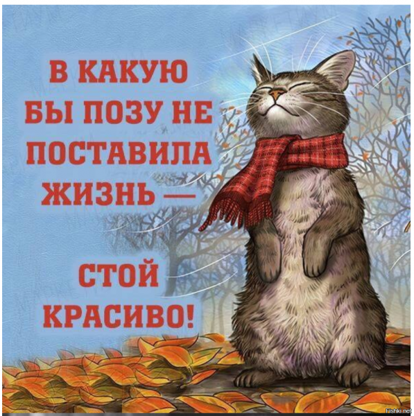 Открытки про жизнь