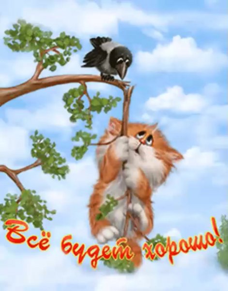 Держись гифки