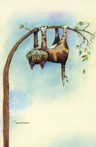 Кот висит на ветке