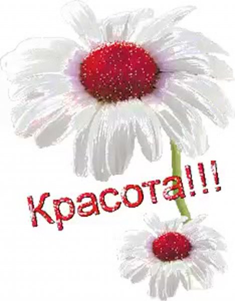 Красота открытки с надписью