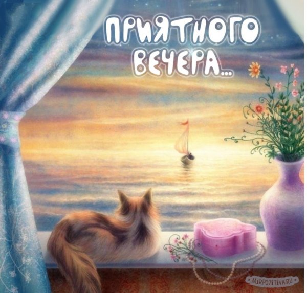 Хороший вечер