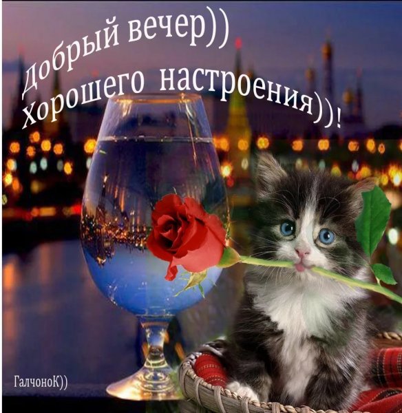 Хороший вечер