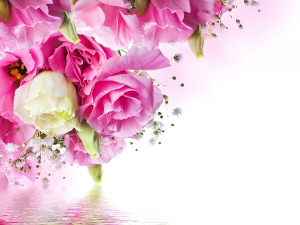 Цветочный фон