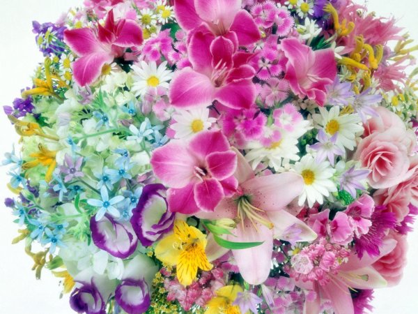 Яркий букет