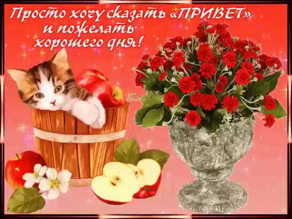 Поздравления с хорошим днем и хорошим настроением