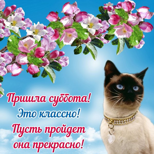 Открытки отличной субботы