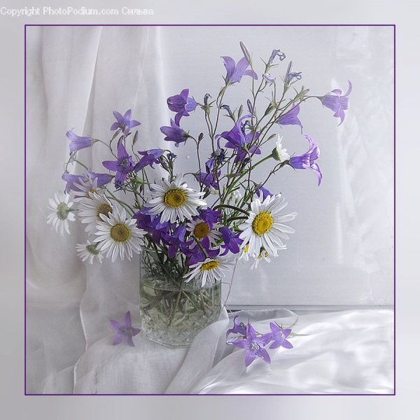 С днём рождения полевые цветы