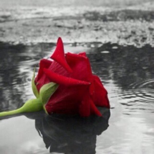 Душевные открытки