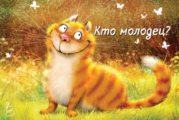 Позитивные коты