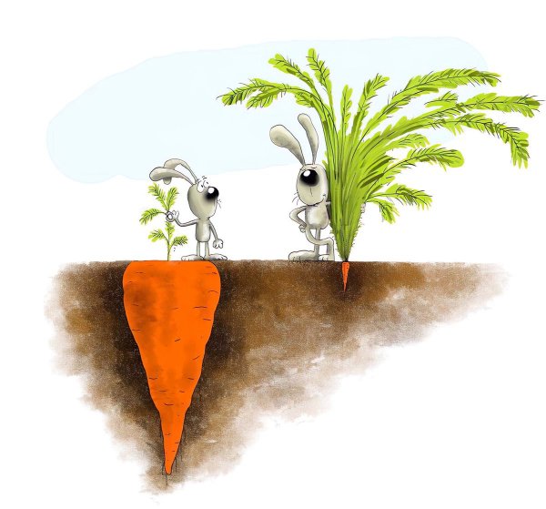 Понты не отображают реального положения вещей