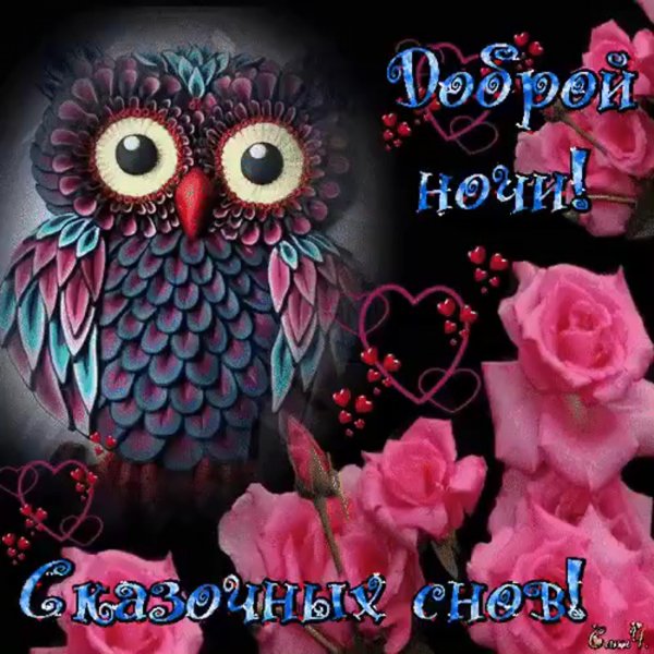 Доброй ночи до завтра