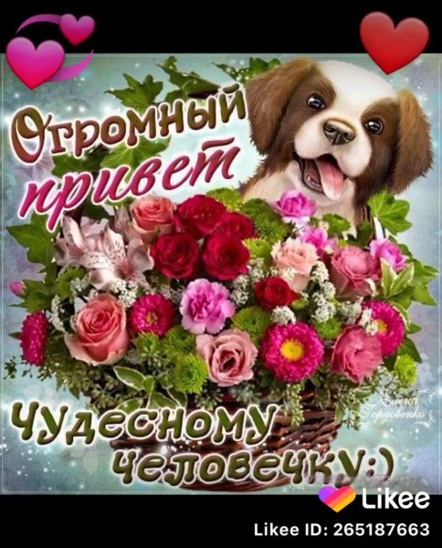 Открытки привет