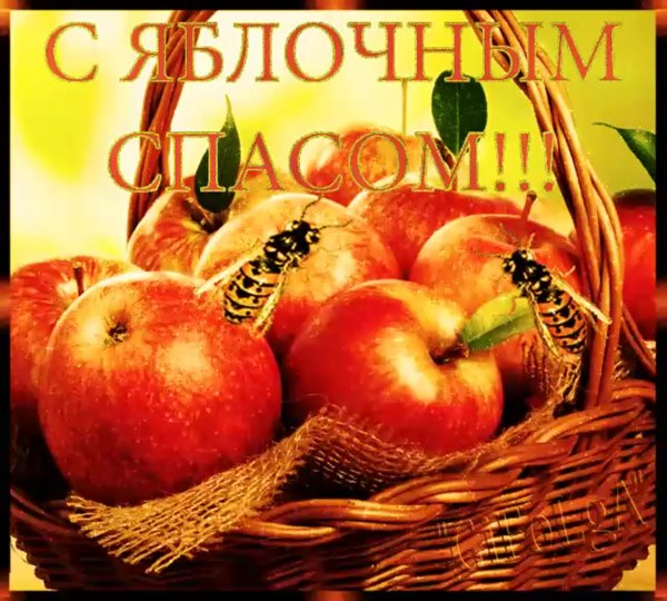 Яблочный спас