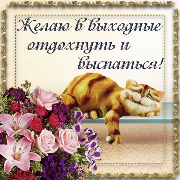 Открытки на каждый день