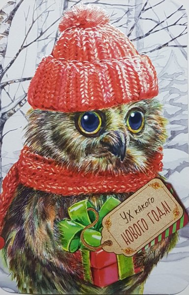 Совушки в шапочках