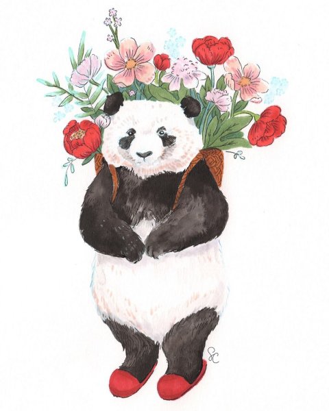 Пандочка с цветами