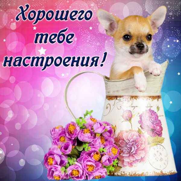 Пожелания хорошего настроения