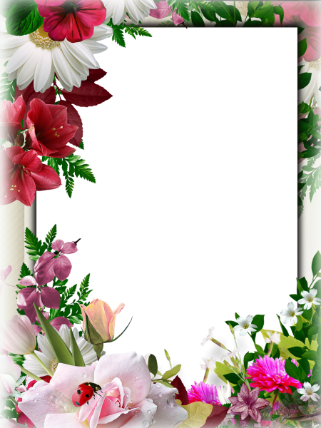 Рамочка для поздравления