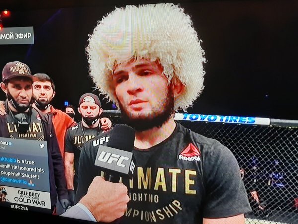 Торт с Хабибом