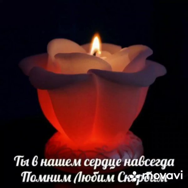 Открытки помним любим