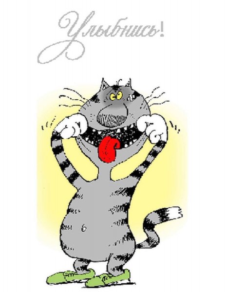 Бляха- Муха Ешкин кот и