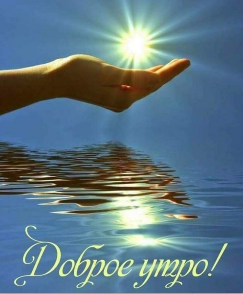 Солнце в ладошках