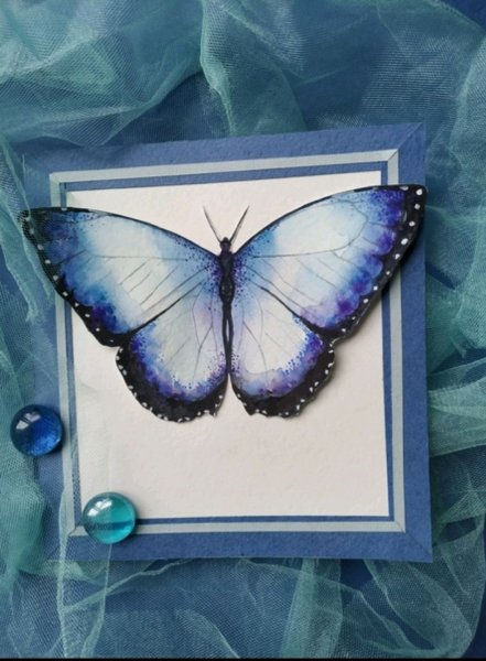 Объемная открытка бабочка