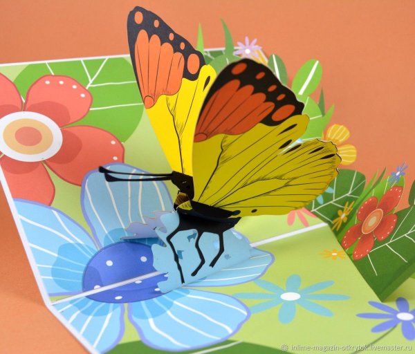 Открытка "бабочки"