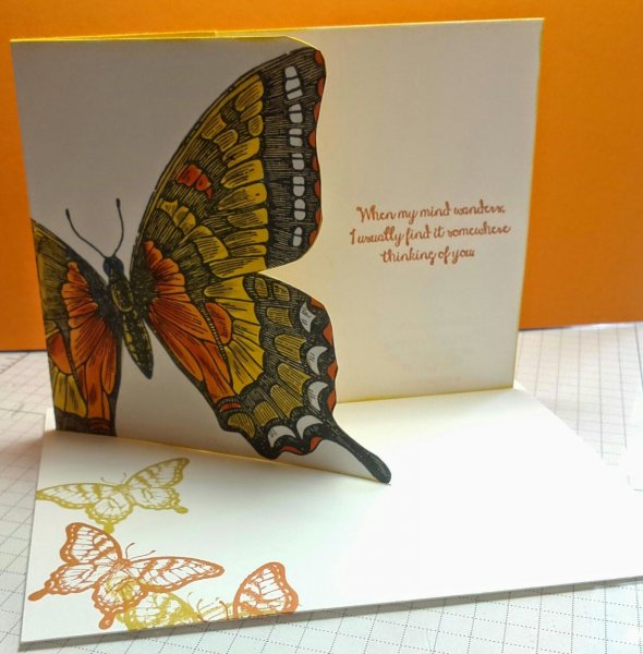 Открытки бабочки на цветах