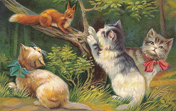 Старые открытки с кошками