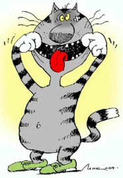 Забавные открытки