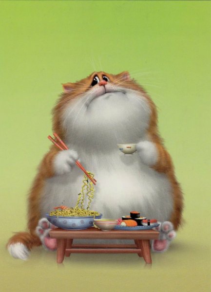 Кот Алексея Долотова обедает