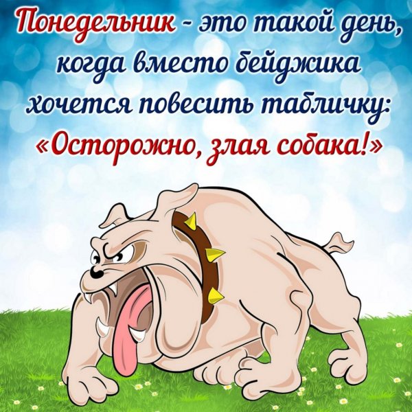 С понедельником прикольные пожелания