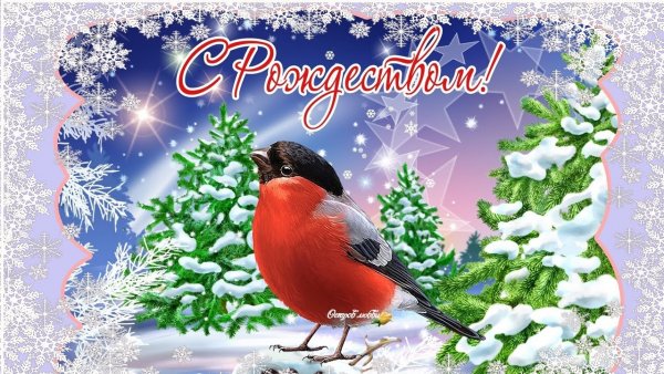 Красивые открытки с Рождеством