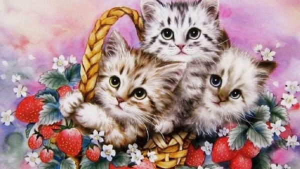 Красивые котята