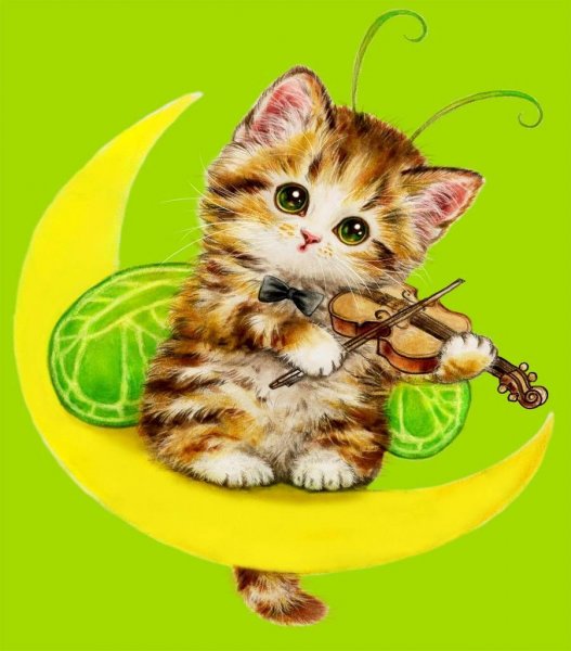 Открытка «кот»